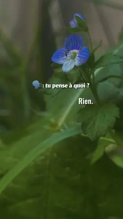Tu pense a qui ?