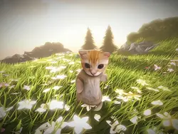 Montagem miau