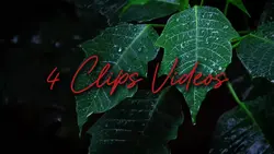 4 Clips Videos