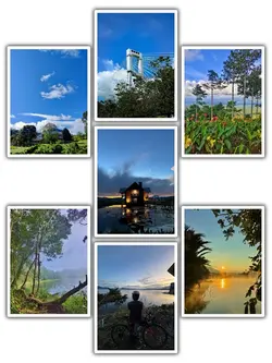 7Pic Trans Aesthetic