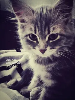 MẪU LYRICS STORY MÀU