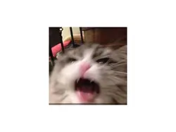 ขอขนมหน่อย