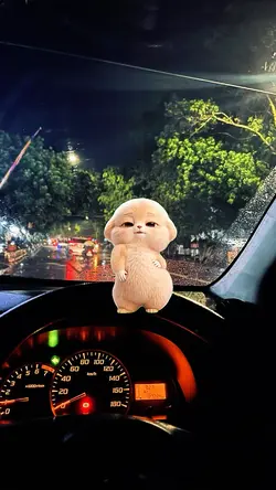 beruang joget 