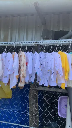 Mẫu video 