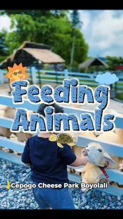 Feeding animals 