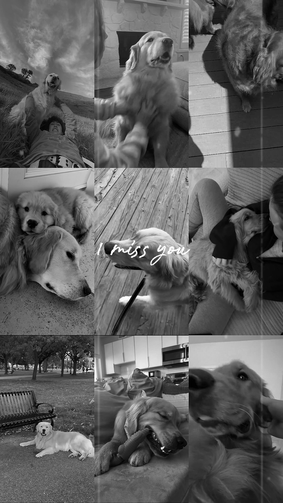 Te extraño