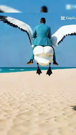 FUGA NO PATO