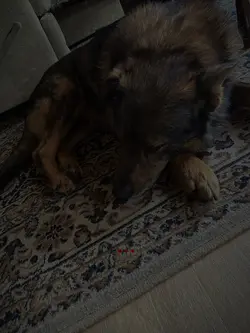 Goodbye my Baby