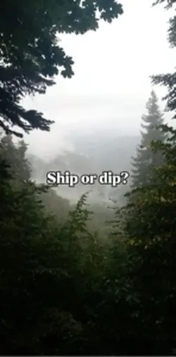 Ship or dip?