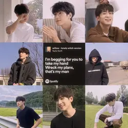 willow - taylor swif