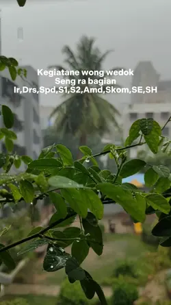 kegiatane wong wedok
