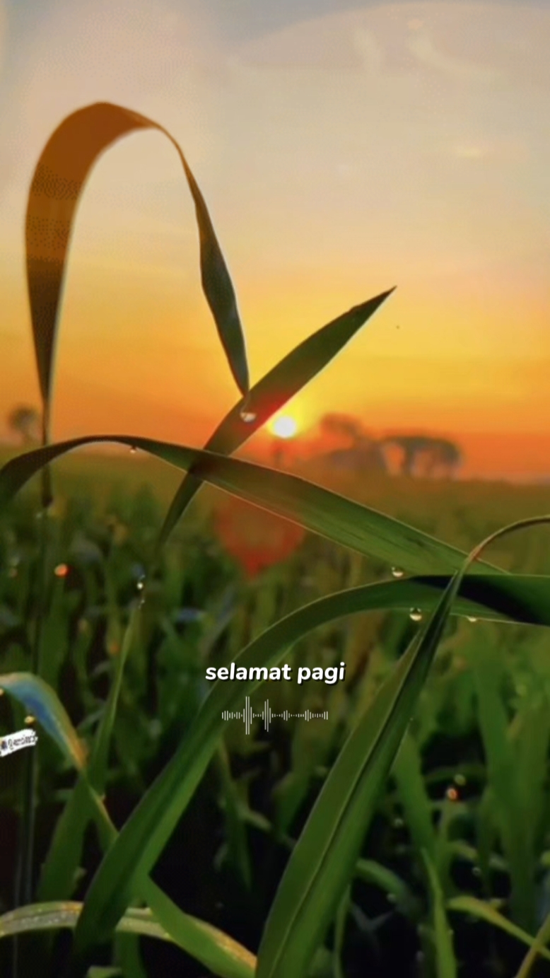 Selamat pagi