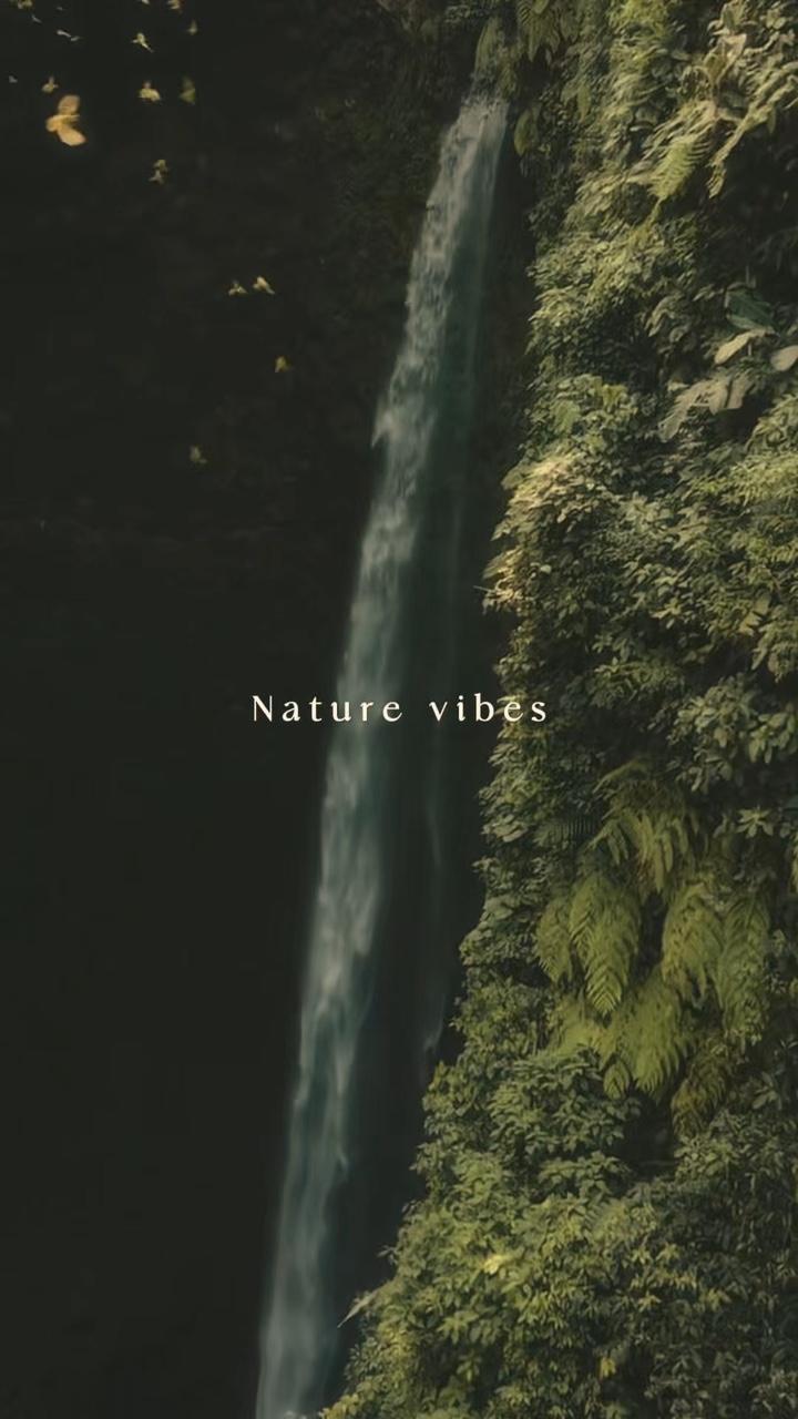 Nature aesthetic 
