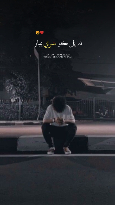 Na Pal Ko Sare Pyara