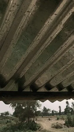 วิวบ้านๆ