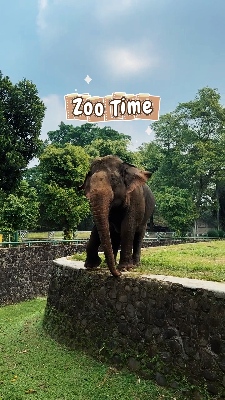 Zoológico