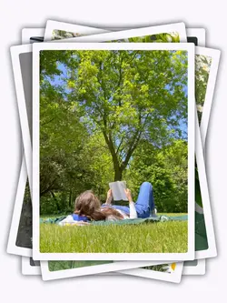 20PicClip Transition