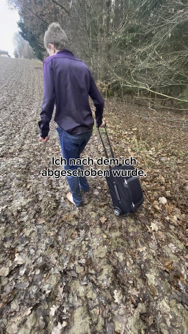 Meme: Ich habe verl