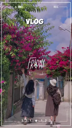 vlog