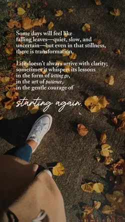 Starting Again 🌼