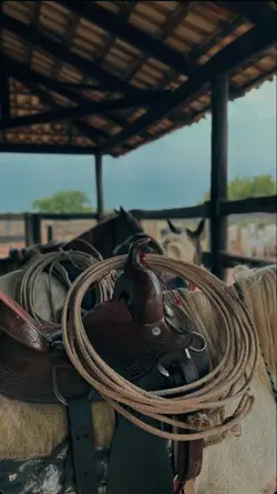 Nas curvas da estrad