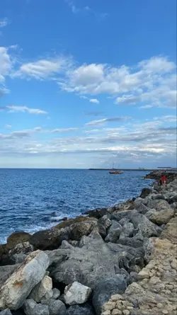 şarkı nasıl 