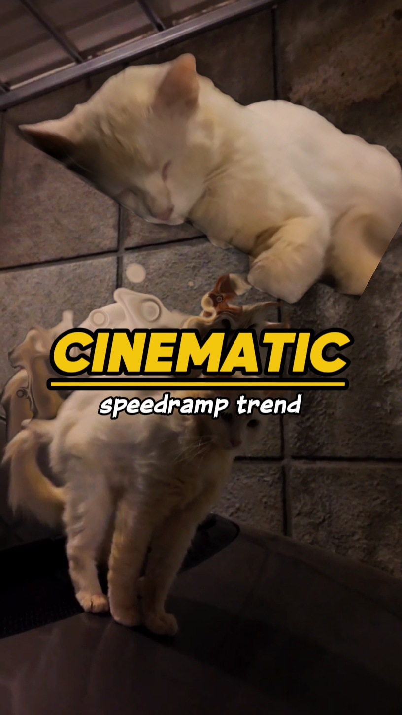 Cinematic speedramp