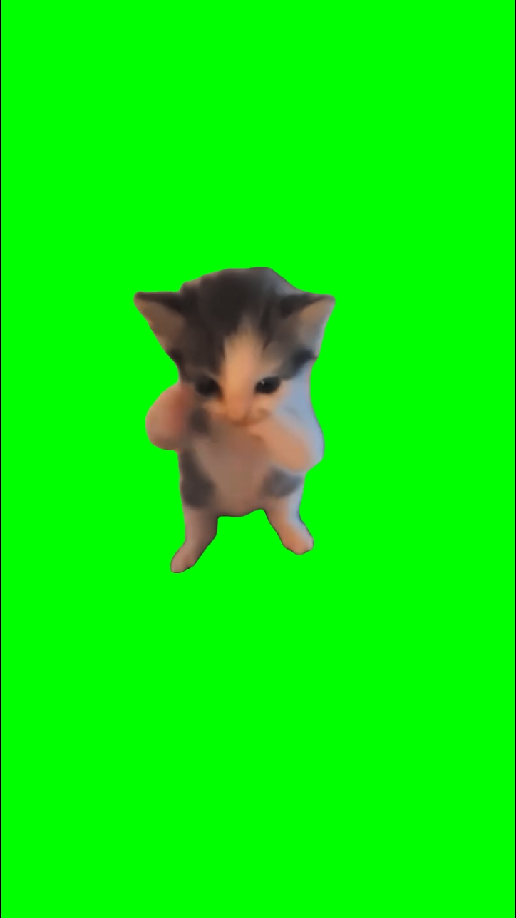 cat scuba dancing 