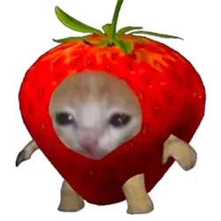 ARGENTINA SIEMPRE🇦🇷🗣️‼️