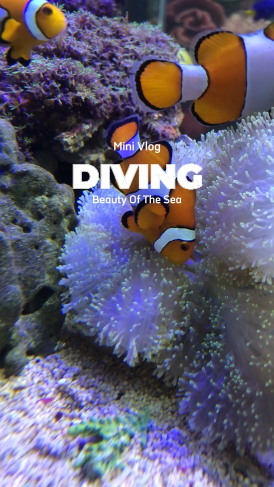 DIVING