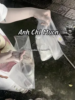 Anh Chỉ Muốn