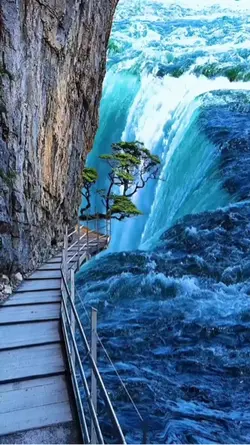 Live wallpaper