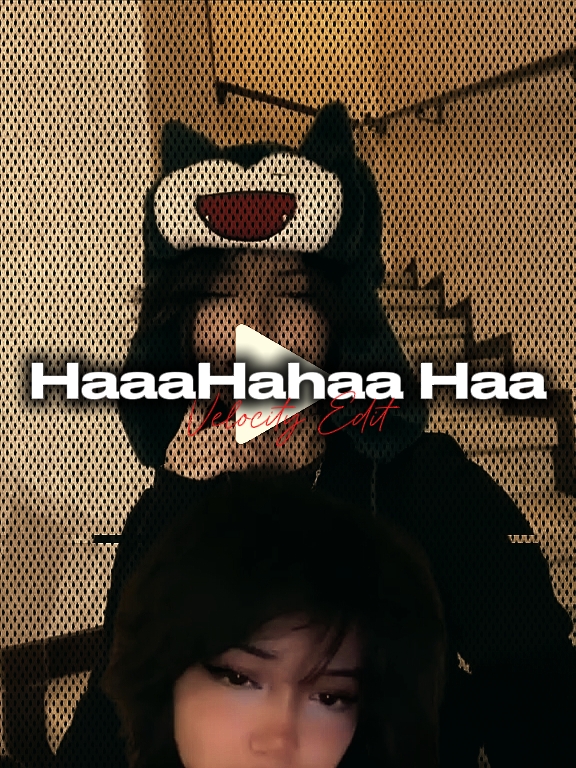 HAAAHAN HAAHA