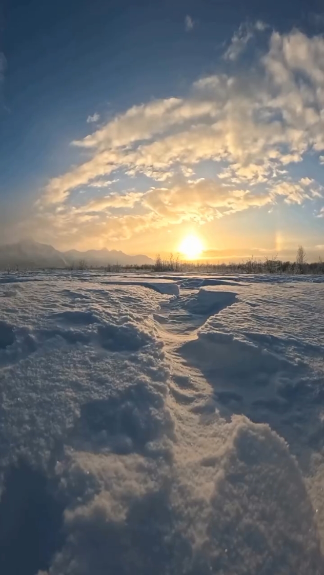 Inverno | natureza