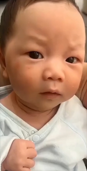 비비 