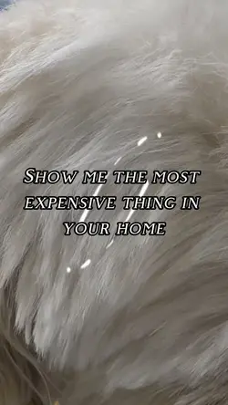 Dog template