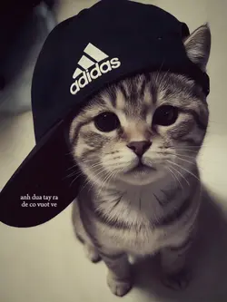 MẪU LYRICS STORY MÀU