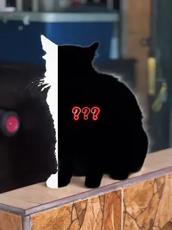 New Trend
