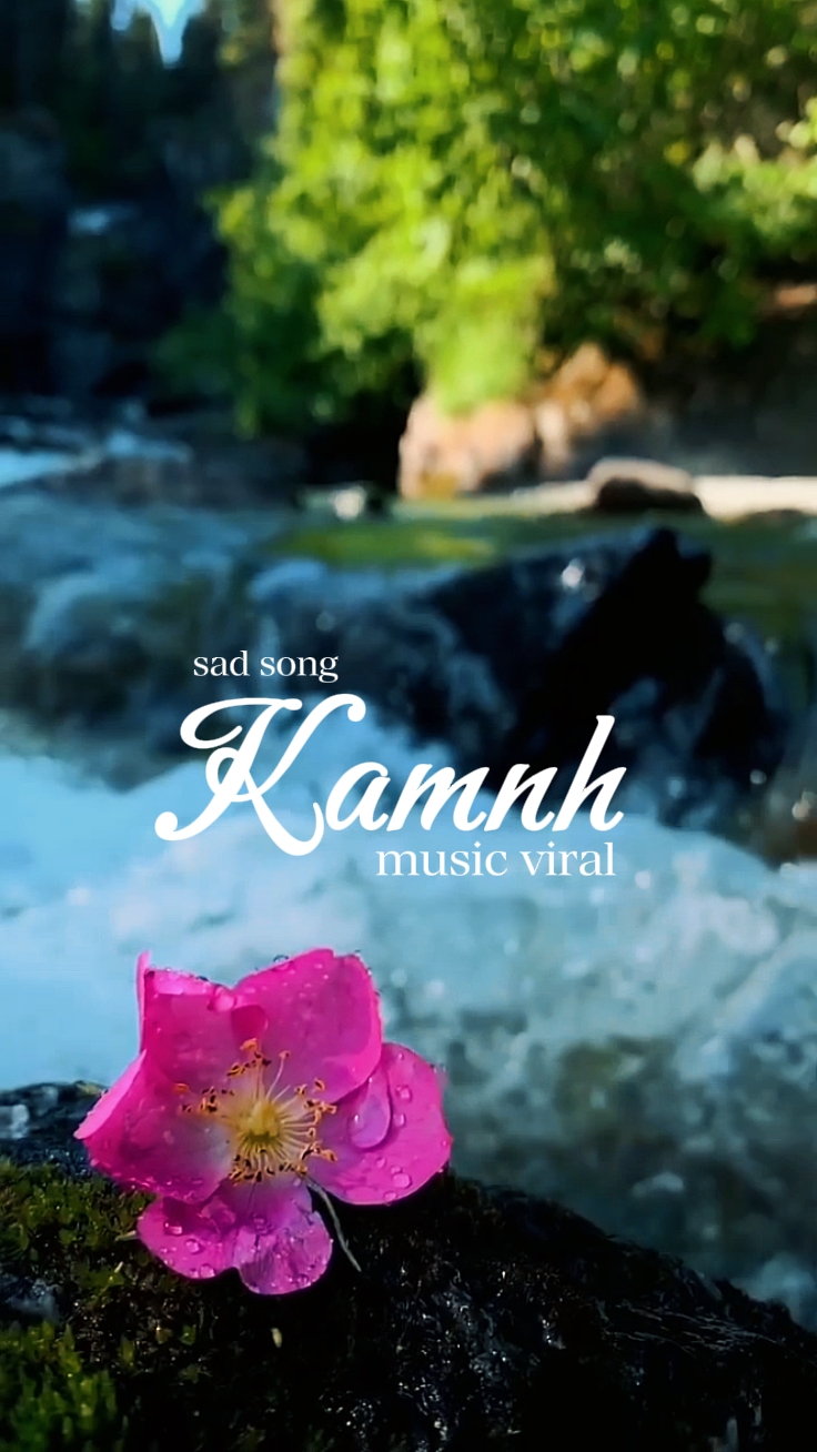  Kamnh -sad song-