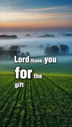 MORNING GRATITUDE