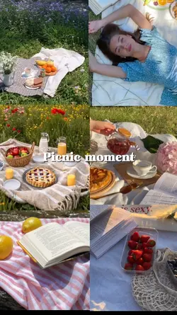 picnic moment 