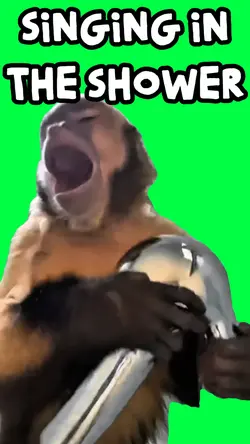 MONKEY SHOWER SONG