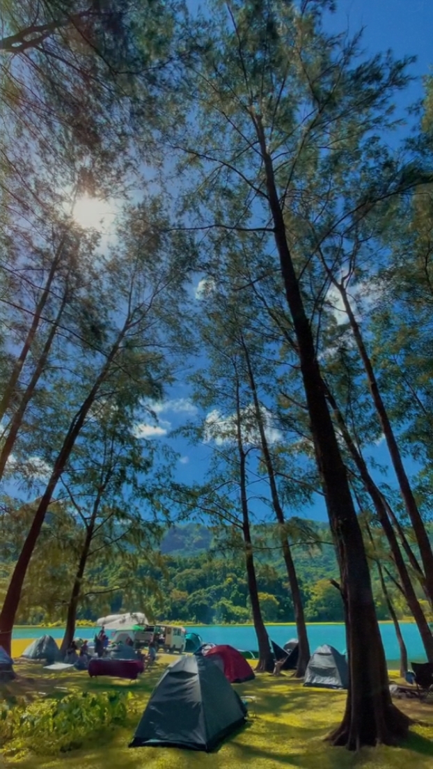 nature therapy