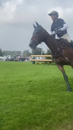horse template 💜