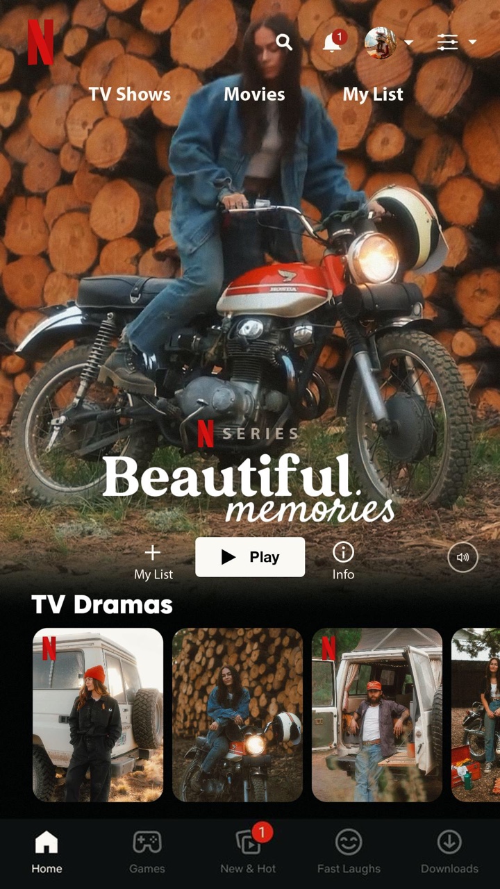 Netflix Template