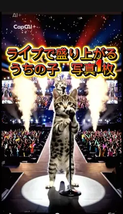 ライブで盛り上がる