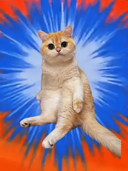 Who’s that Pokemon 