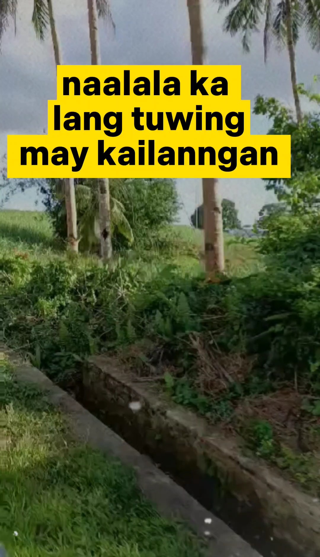 may kailangan lang 
