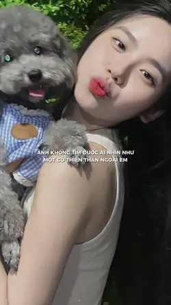Anh kh tìm được ai