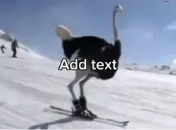 Ski meme